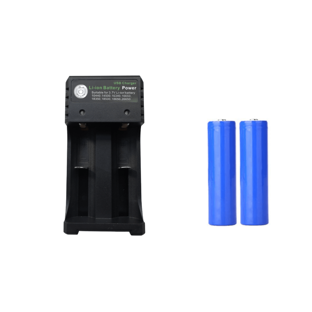 Batterijen (2x) + Oplader - Beldeur